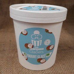 Glace yaourt Coco - Bio
